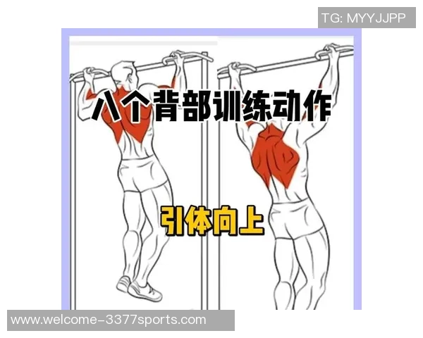 有效提升背阔肌力量的哑铃锻炼技巧与方法解析
